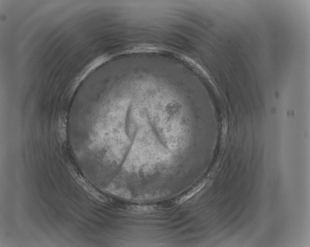 X0000083561409200702231551