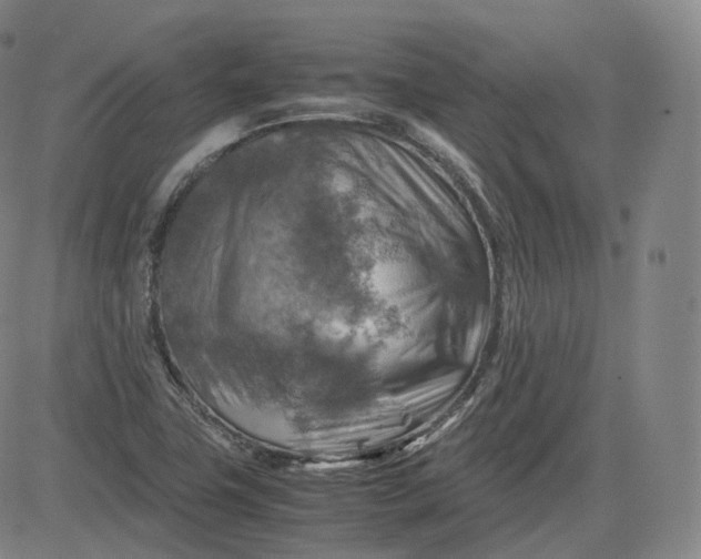 X0000083561411200702231551