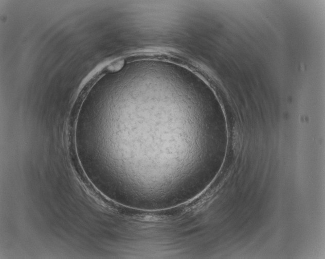 X0000083561412200702231551