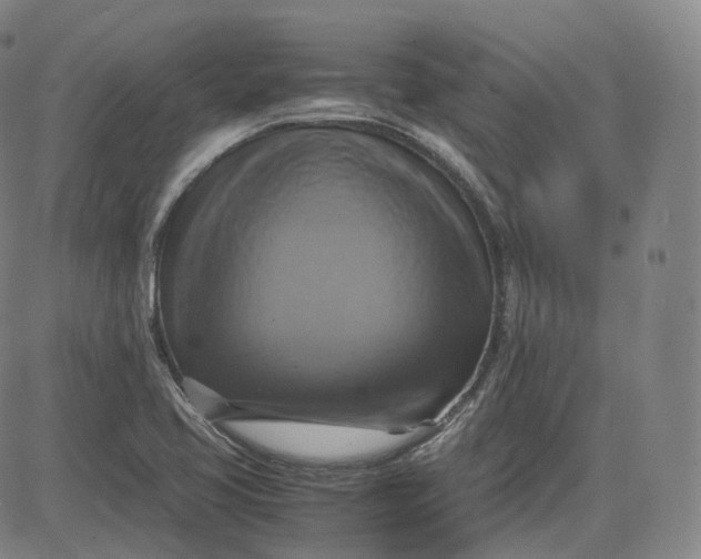 X0000083561413200702231551