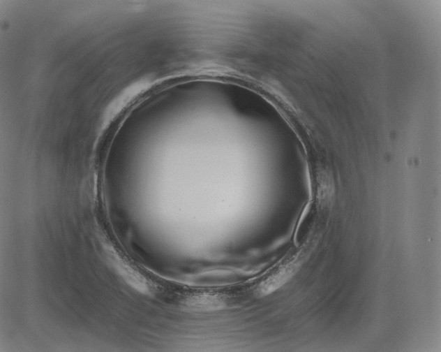 X0000083561414200702231551