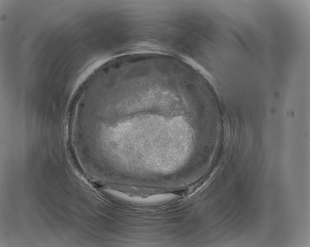 X0000083561415200702231551