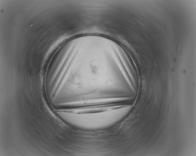 X0000083561416200702231551