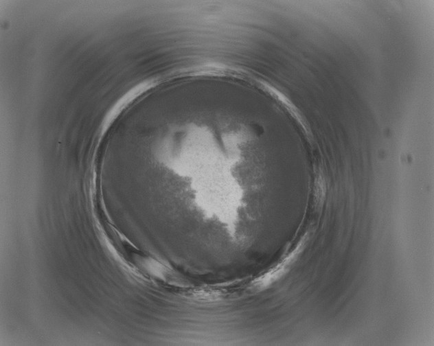 X0000083561418200702231551