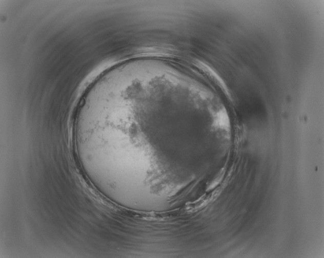 X0000083561419200702231551