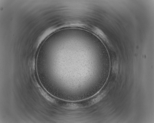 X0000083561420200702231551