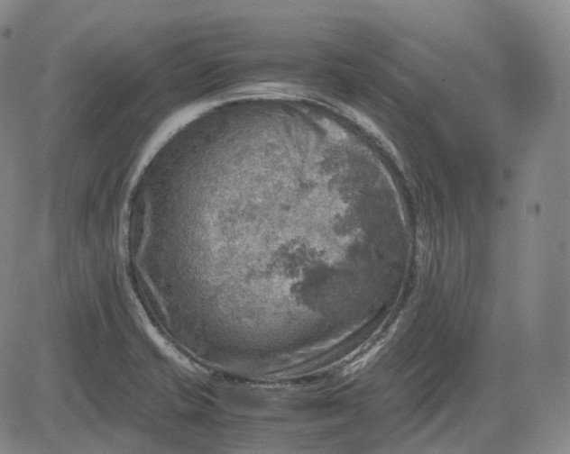 X0000083561421200702231551