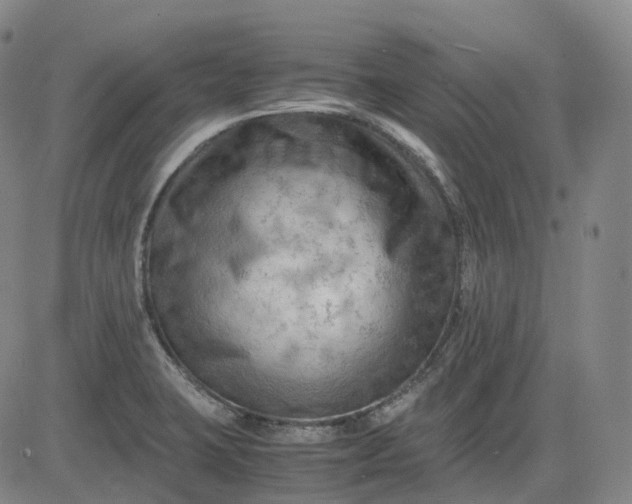 X0000083561423200702231551