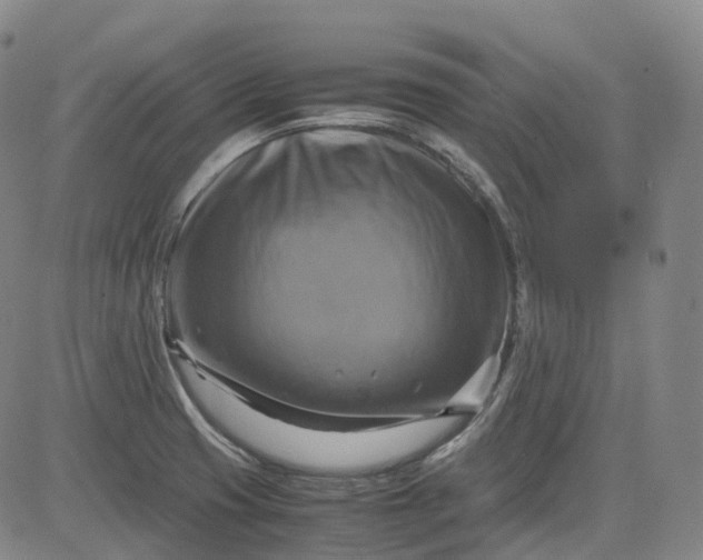 X0000083561425200702231552