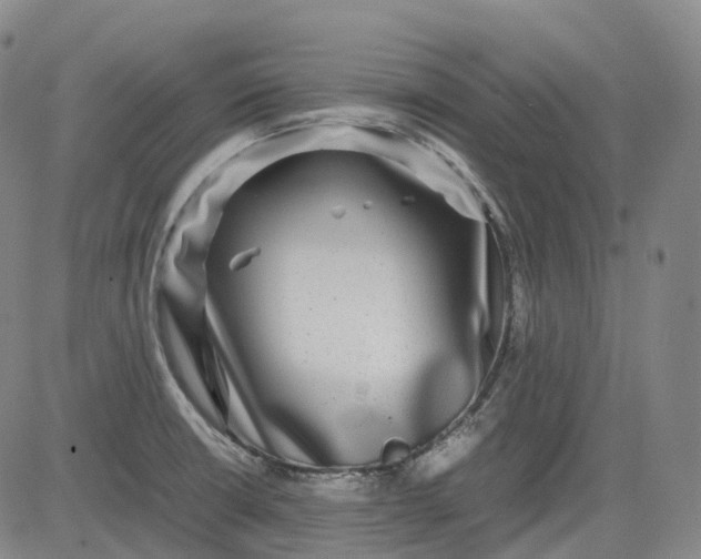 X0000083561426200702231552