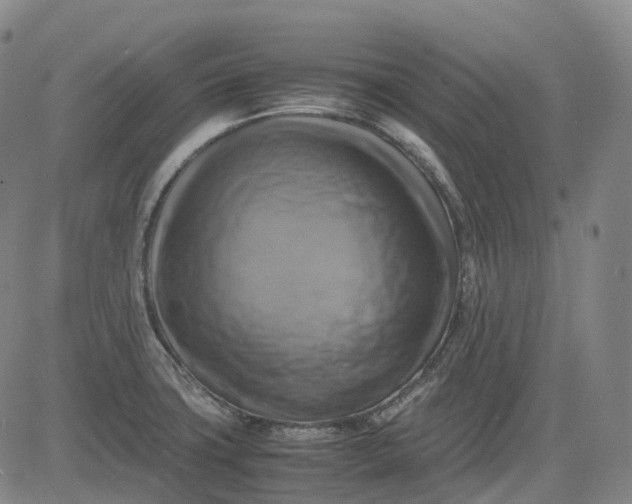 X0000083561427200702231552