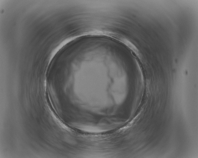 X0000083561428200702231552