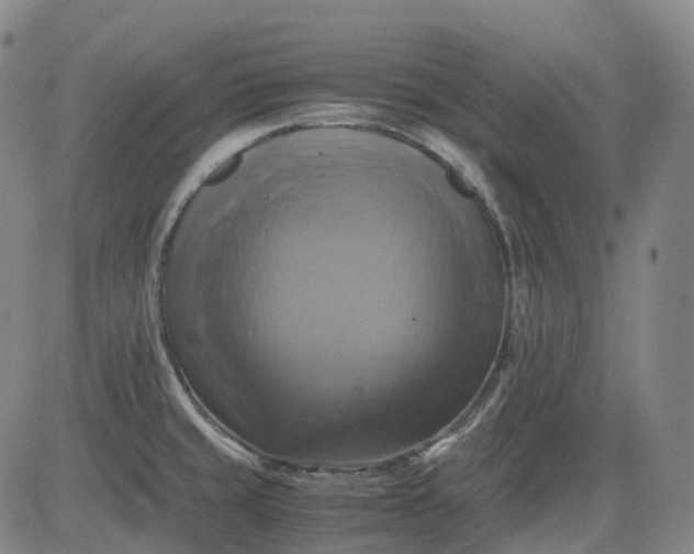 X0000083561429200702231552