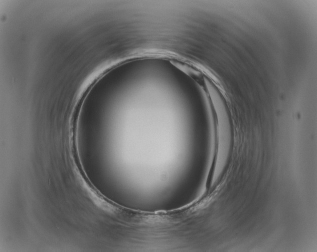 X0000083561430200702231552