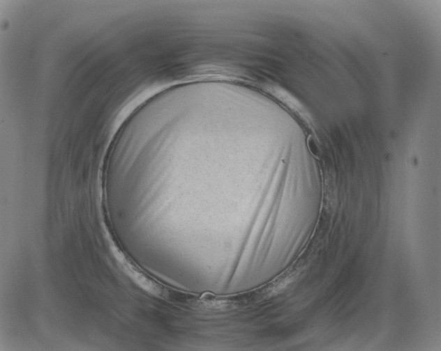 X0000083561431200702231552