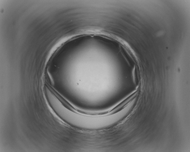 X0000083561432200702231552