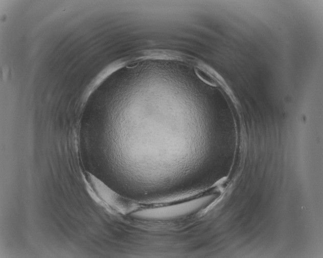 X0000083561433200702231552