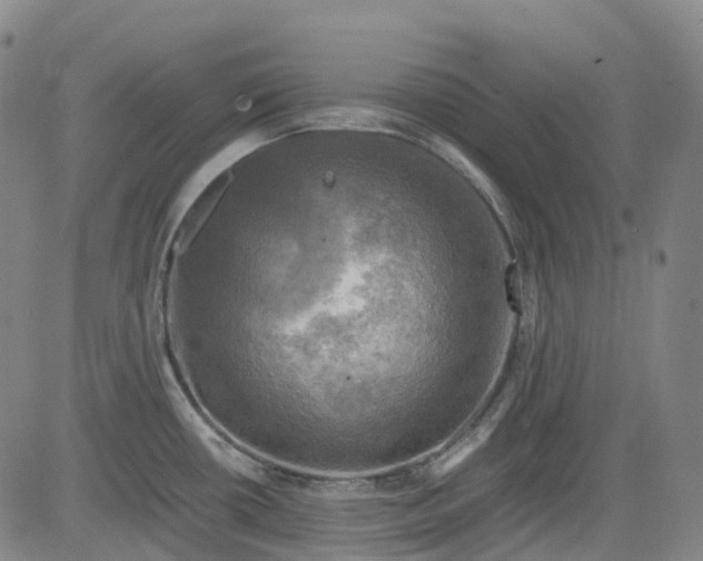 X0000083561434200702231552