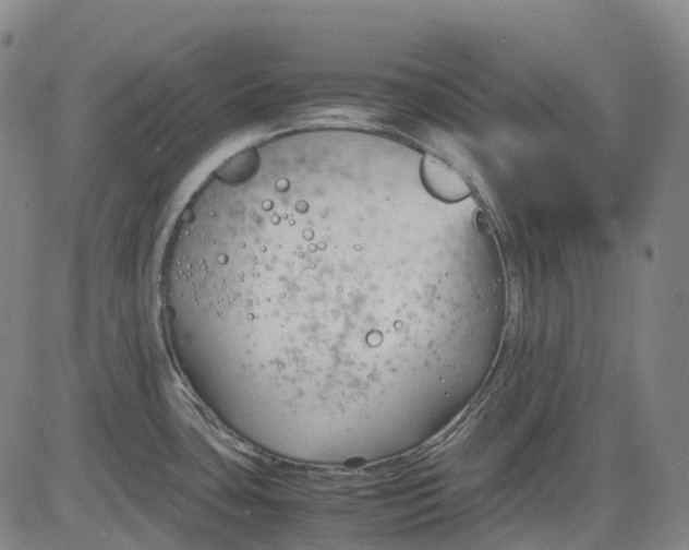 X0000083561435200702231552