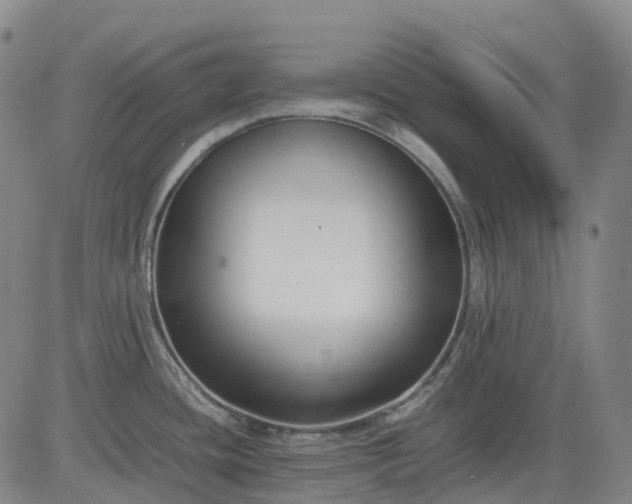 X0000083561436200702231552