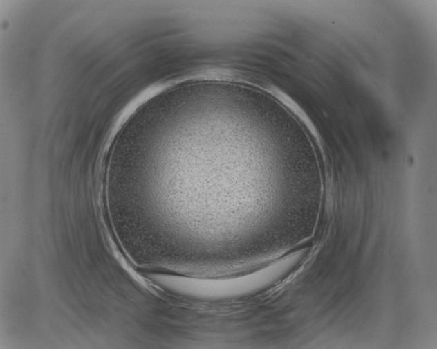 X0000083561437200702231552