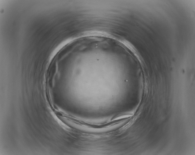 X0000083561438200702231552