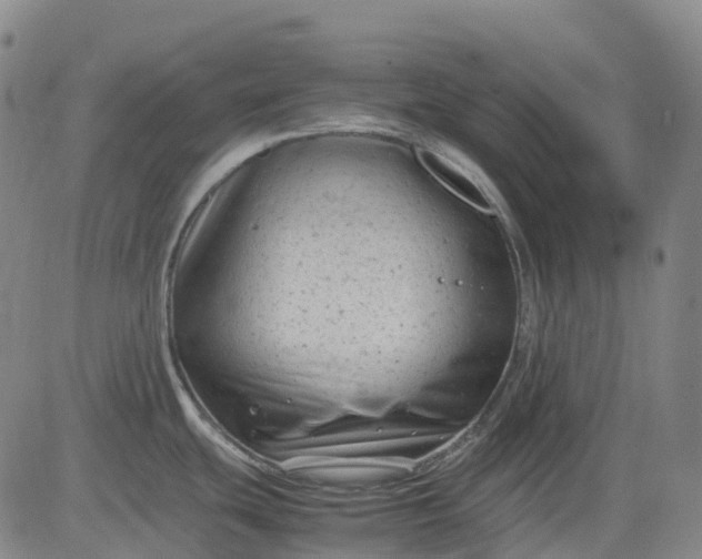 X0000083561439200702231552