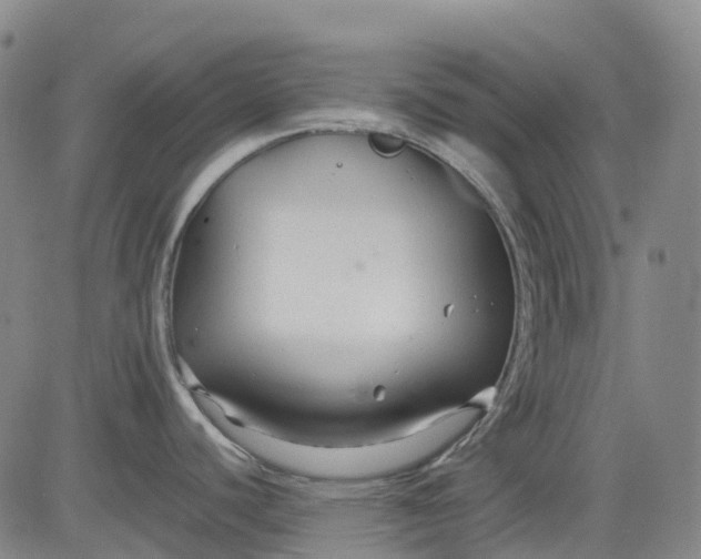 X0000083561440200702231552