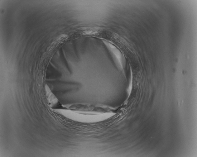 X0000083561441200702231551