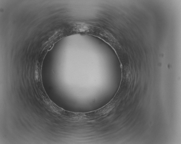 X0000083561442200702231551