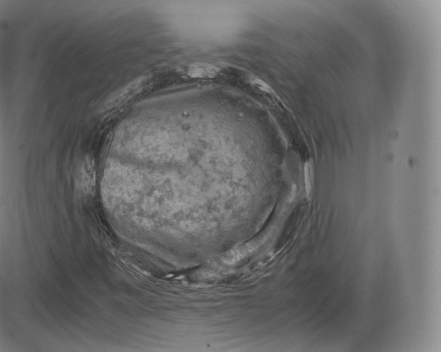 X0000083561443200702231551