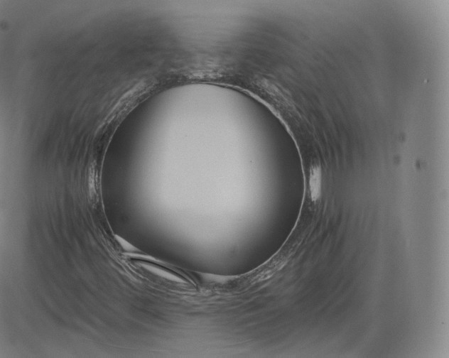 X0000083561444200702231551