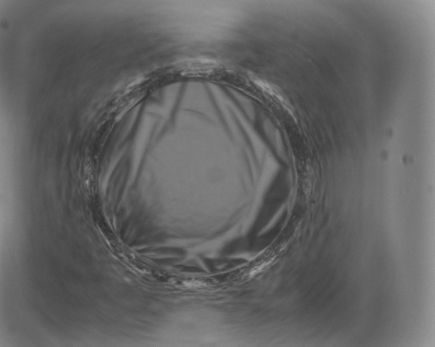 X0000083561445200702231551