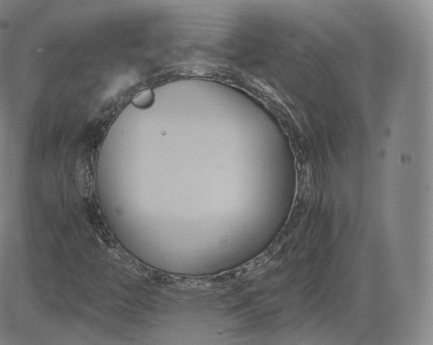 X0000083561446200702231551