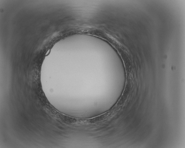 X0000083561447200702231551