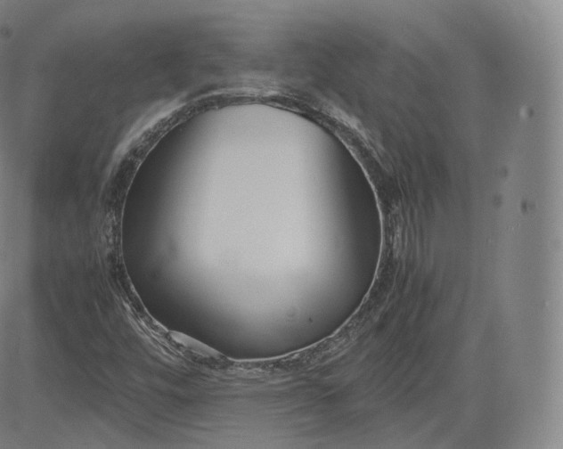 X0000083561448200702231551