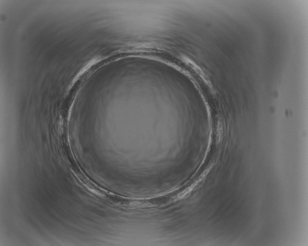 X0000083561449200702231551