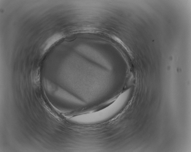 X0000083561450200702231551