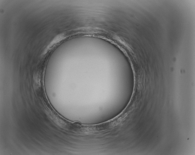 X0000083561451200702231551