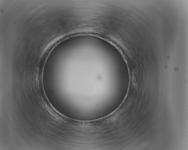 X0000083561452200702231551