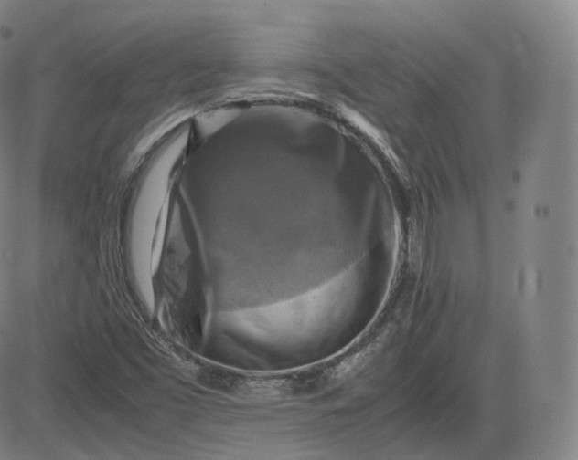 X0000083561453200702231551