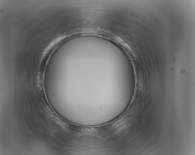 X0000083561454200702231551