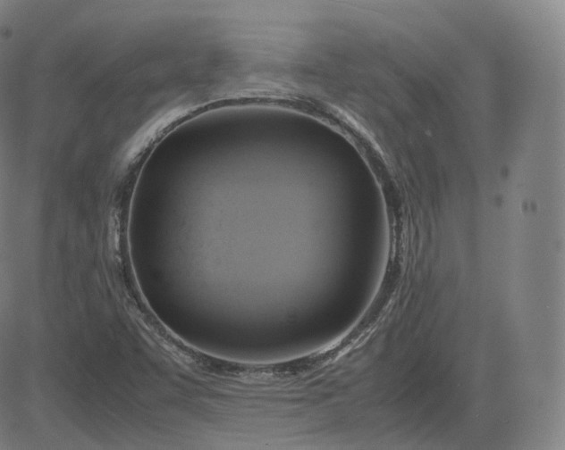 X0000083561455200702231551