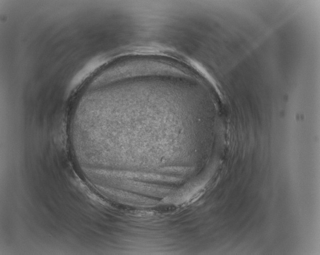 X0000083561456200702231551