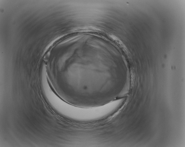 X0000083561457200702231551