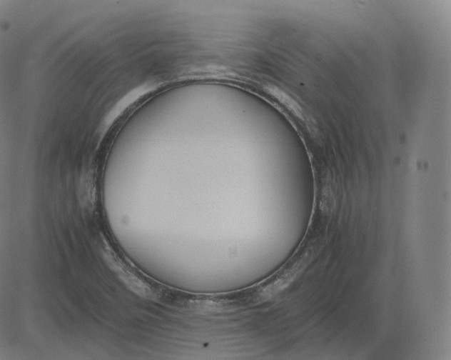 X0000083561458200702231551