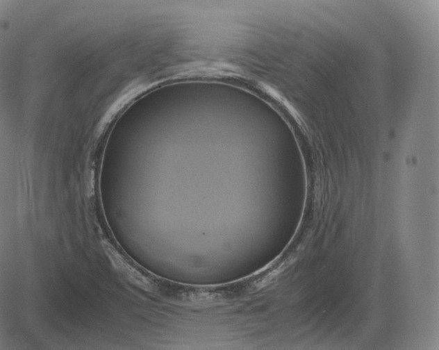 X0000083561459200702231551