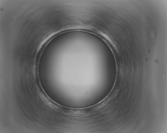 X0000083561460200702231551