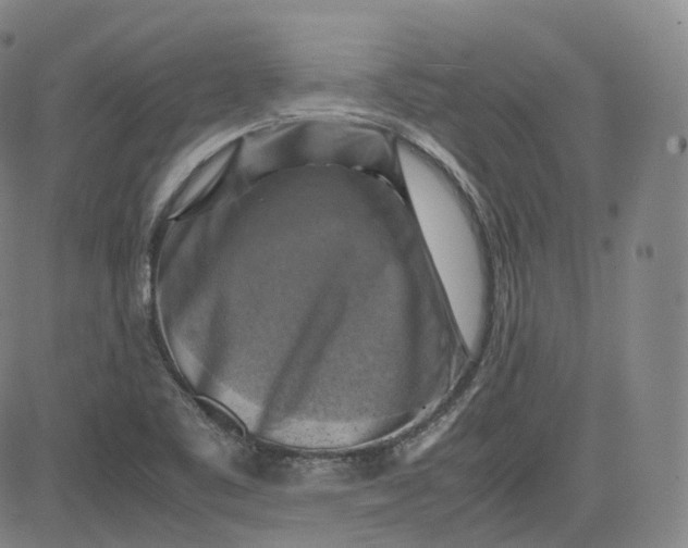 X0000083561461200702231551