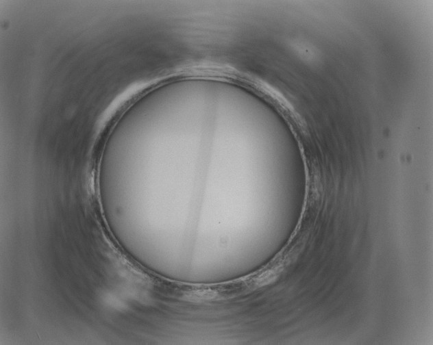 X0000083561462200702231551